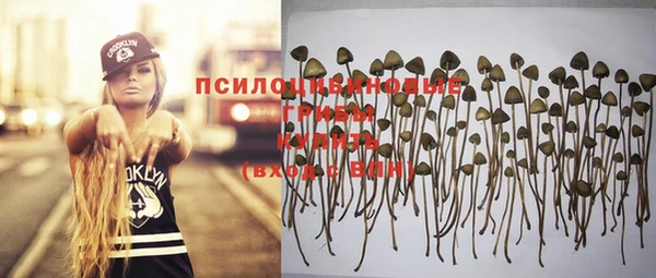 не бодяженный Верхний Тагил